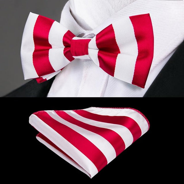 Silk Butterfly Bow Tie with Hanky Cufflinks Set
